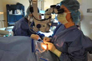 dr. miedziak performing cataract surgery